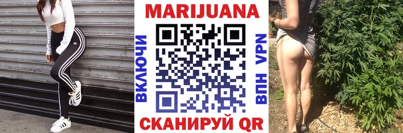 A PVP Мурманск