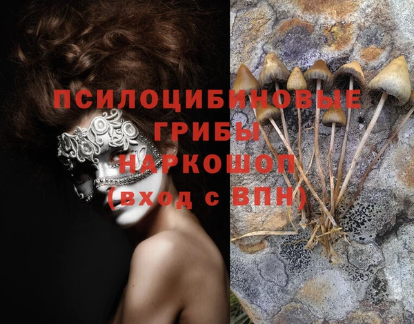 кокаин колумбия Алексин