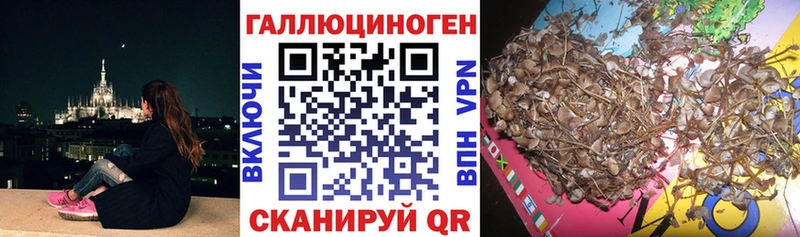 kraken как войти  Мурманск  Псилоцибиновые грибы ЛСД 